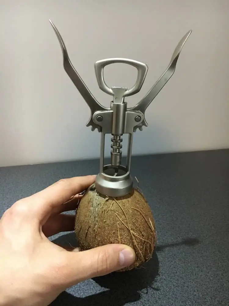 Jak otworzyć kokosa?
