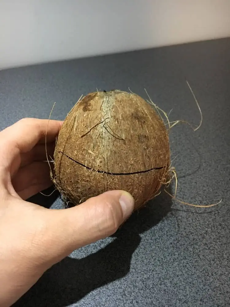 Jak otworzyć kokosa?