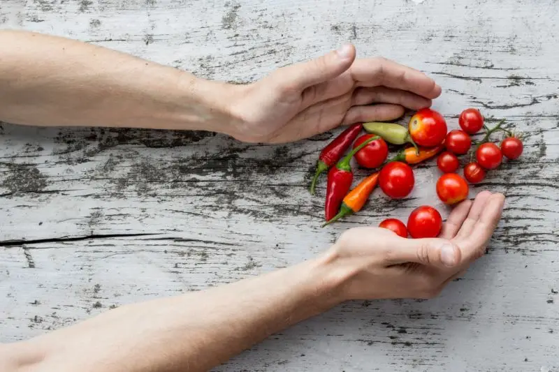 Jak pielęgnować pomidory, by dały soczyste owoce?