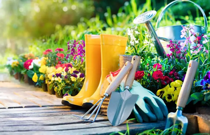 Jak samodzielnie zaaranżować ogród? Oto 5 pomocnych rozwiązań!
