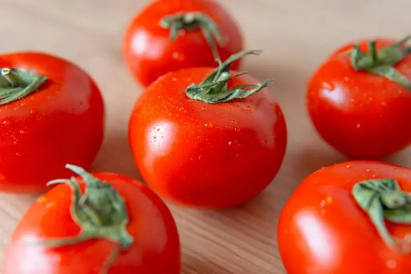Jak zbierać nasiona pomidorów?