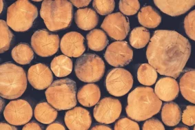 Jaka piła tarczowa do cięcia drewna opałowego?