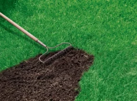 Podłoża i ziemie przydatne w pielęgnacji Twojego trawnika